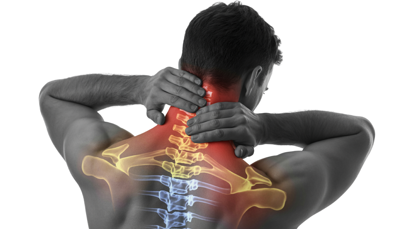 Pain  Anti-Inflammatory