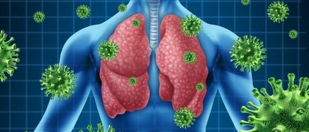 Anti-Allergic  Respiratory