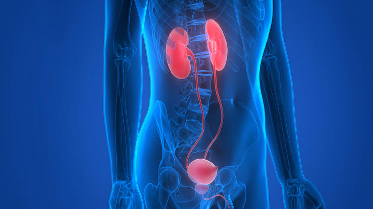 Urology  Men's Health