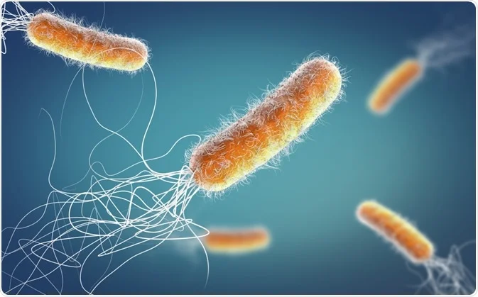 Antibacterial